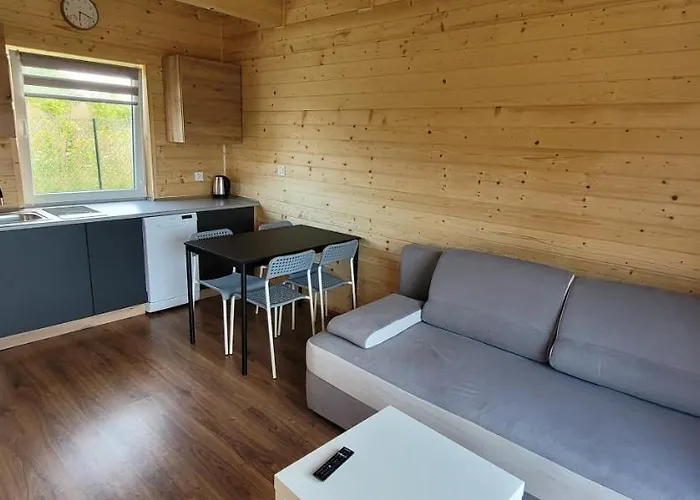 Drewniak ロッジ Wisełka