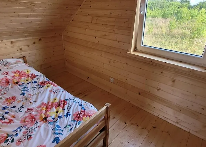 Drewniak ロッジ Wisełka